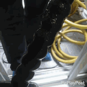 1532590757676416.gif 20.gif